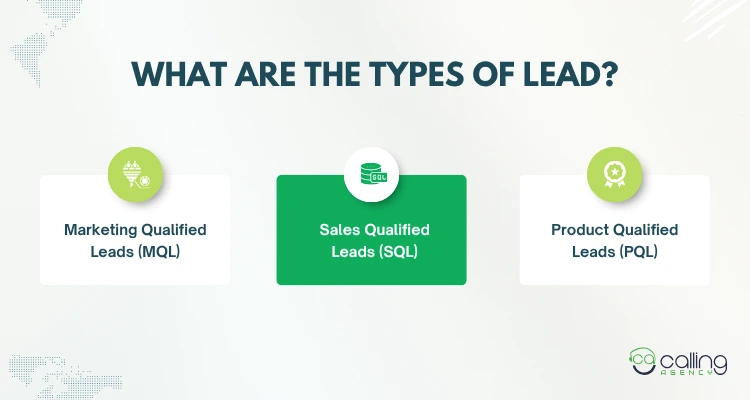What are the Types of Lead